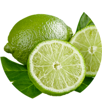 Refreshing and user-friendly