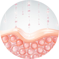 Type 1 en 3 collageen