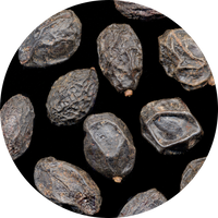 Serenoa Serrulata Fruit Extract